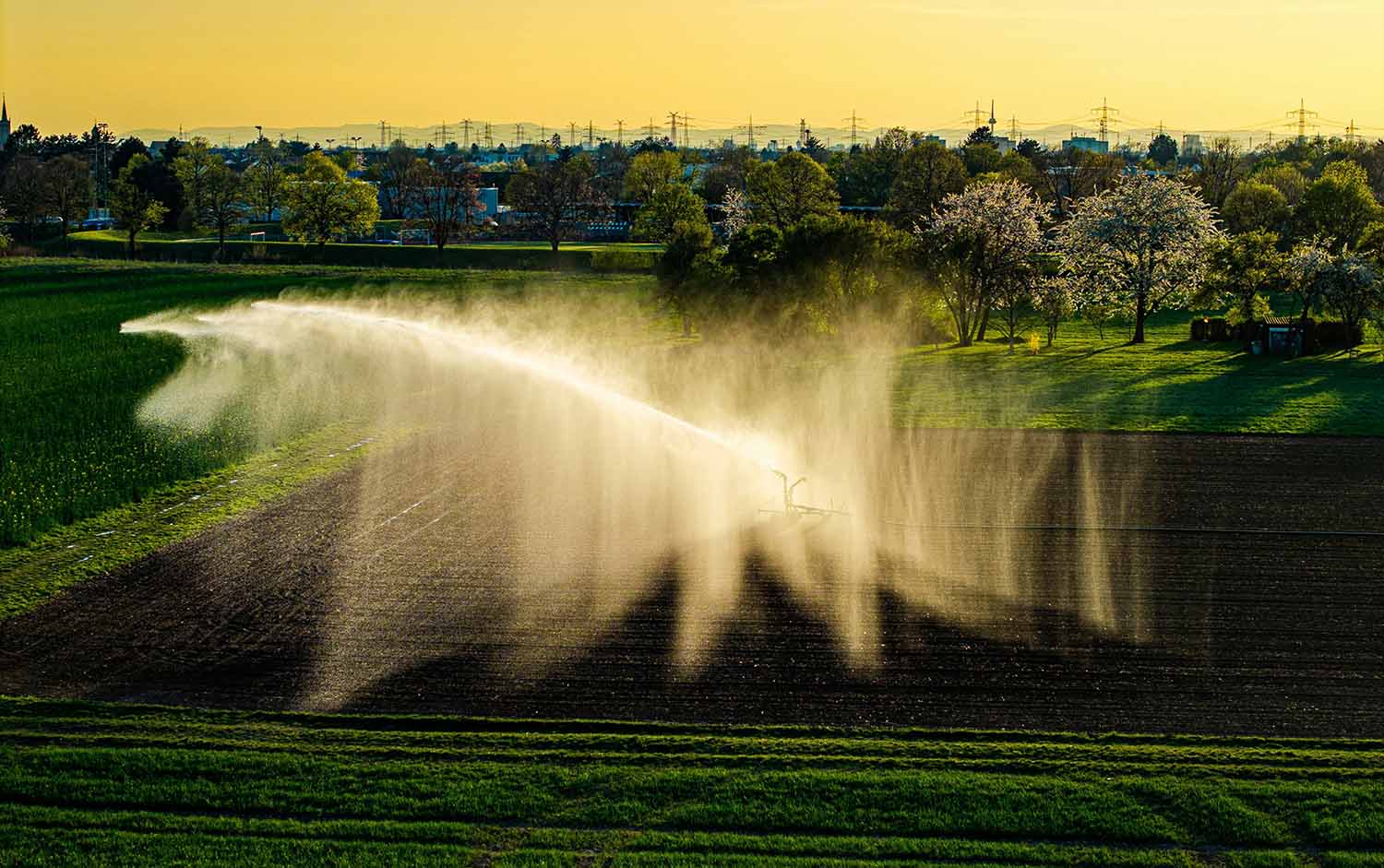 Image of crops getting watered in a bucolic scene